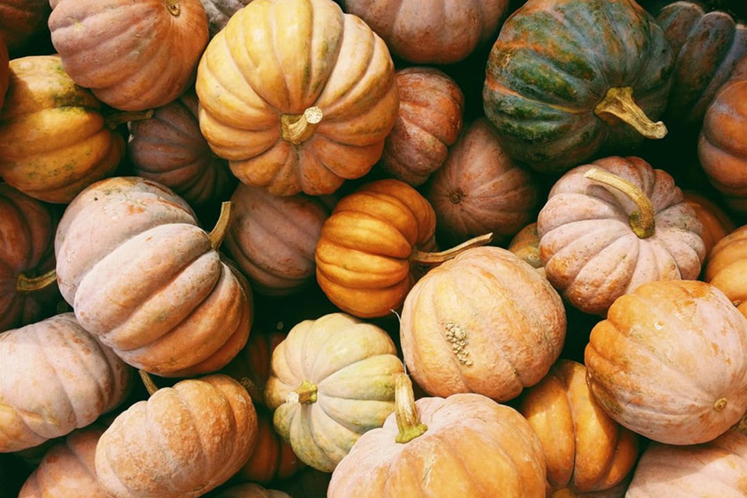 La calabaza y sus múltiples usos