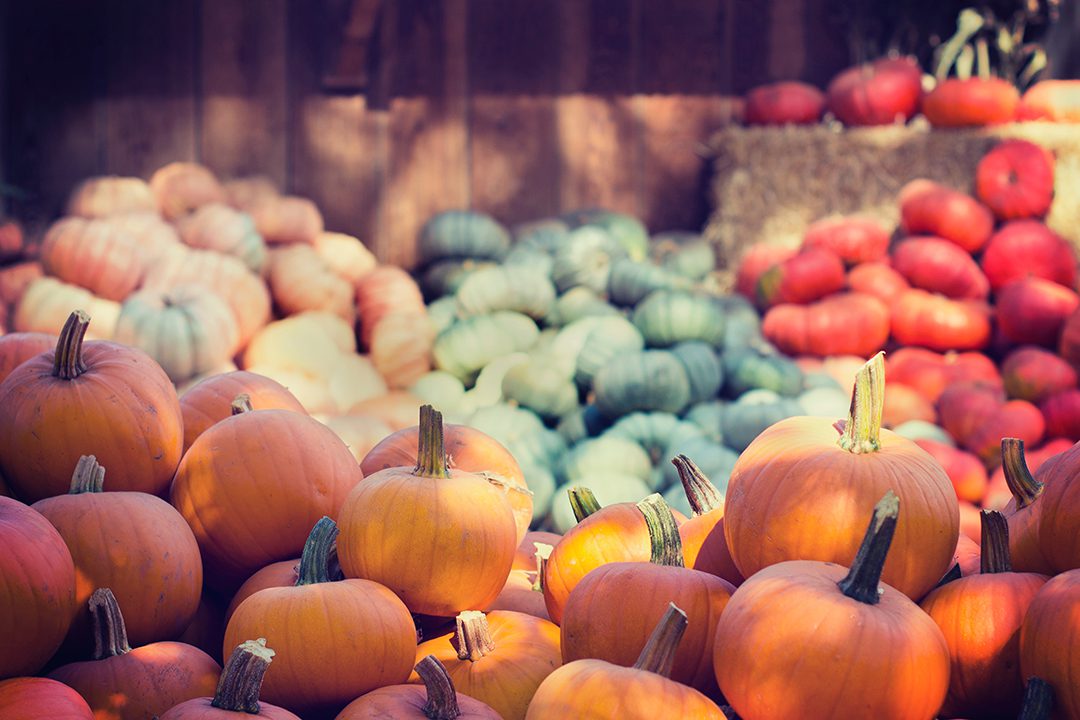 Otoño: frutas y verduras de temporada