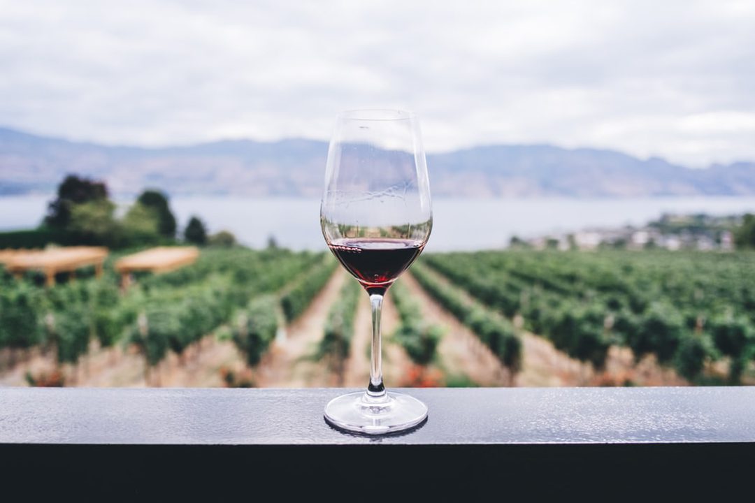 Todo sobre el vino: servicio y degustación