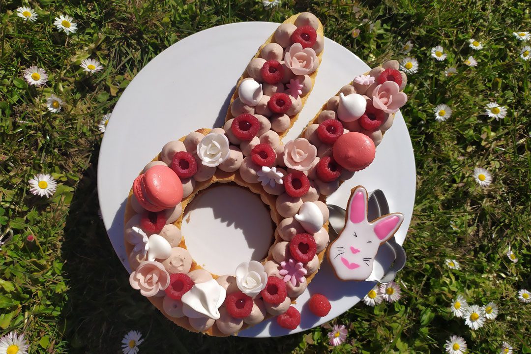 Pastel de conejo: pastel de conejito de frambuesa