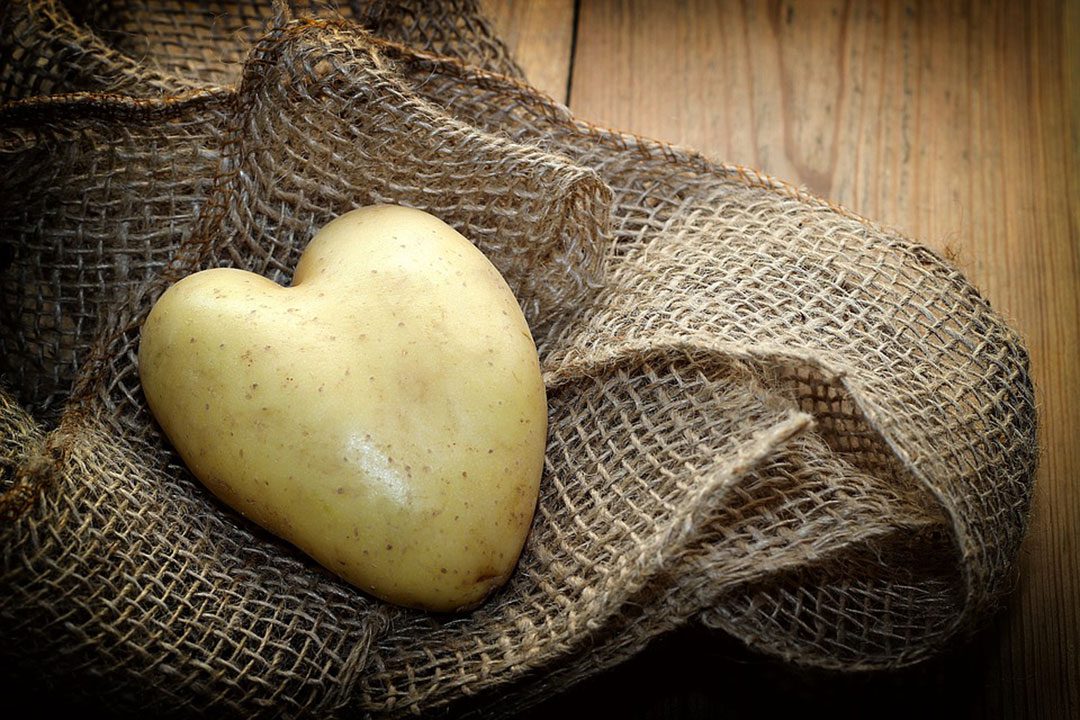 Gratinar: ¿dispones de los utensilios de cocina necesarios?